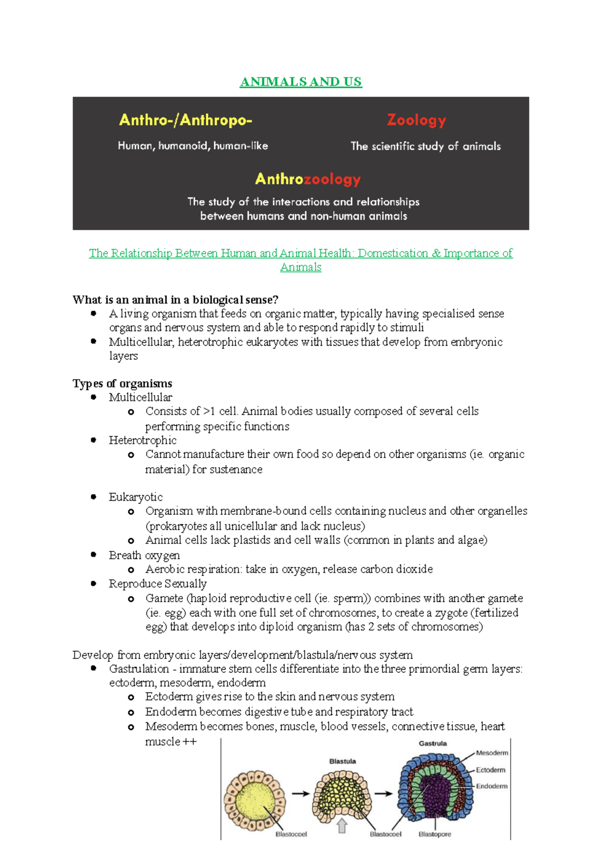 Animals AND US Lecture Notes - ANIMALS AND US The Relationship Between ...