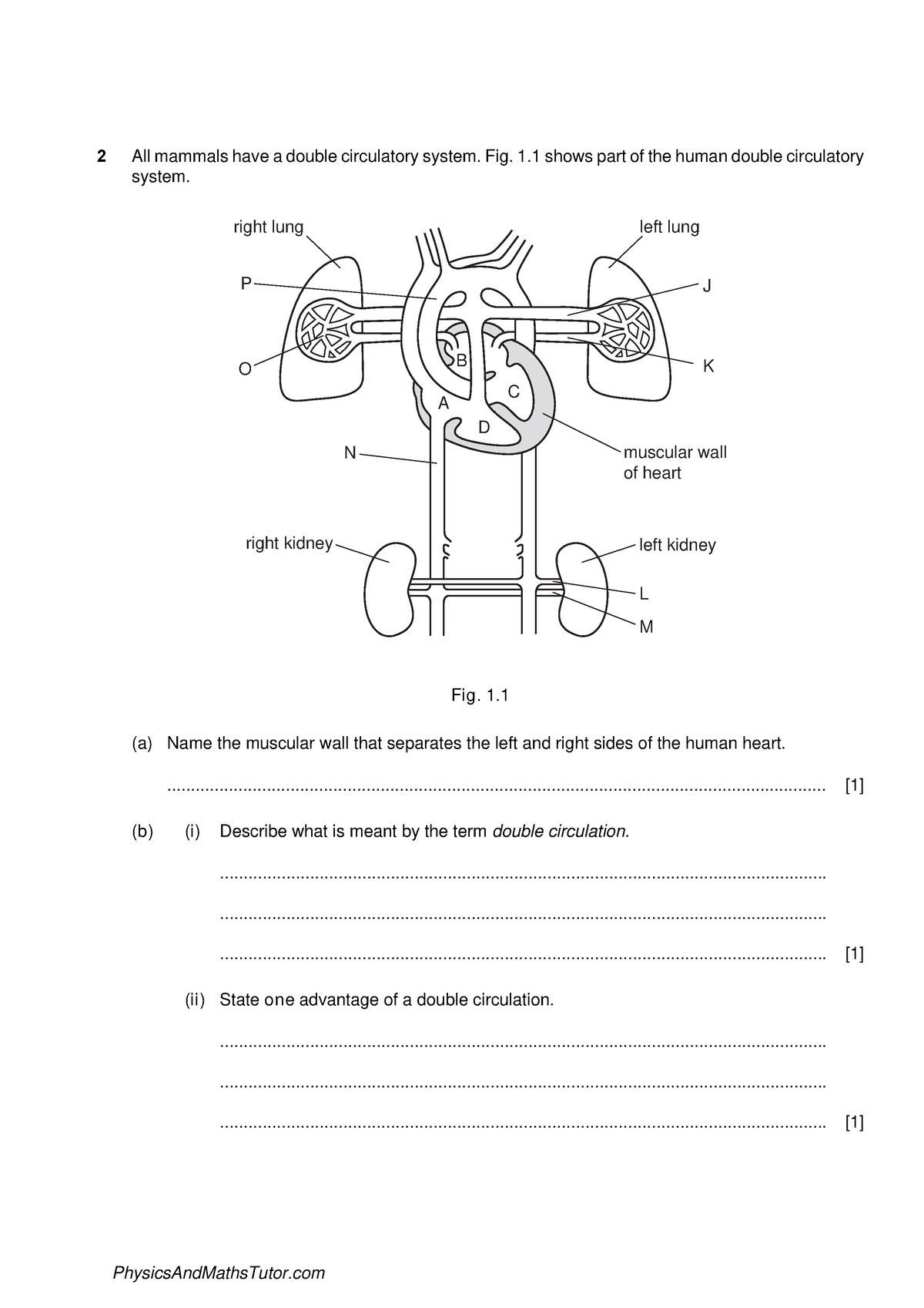 Biology revision - All mammals have a double circulatory system. Fig. 1 ...