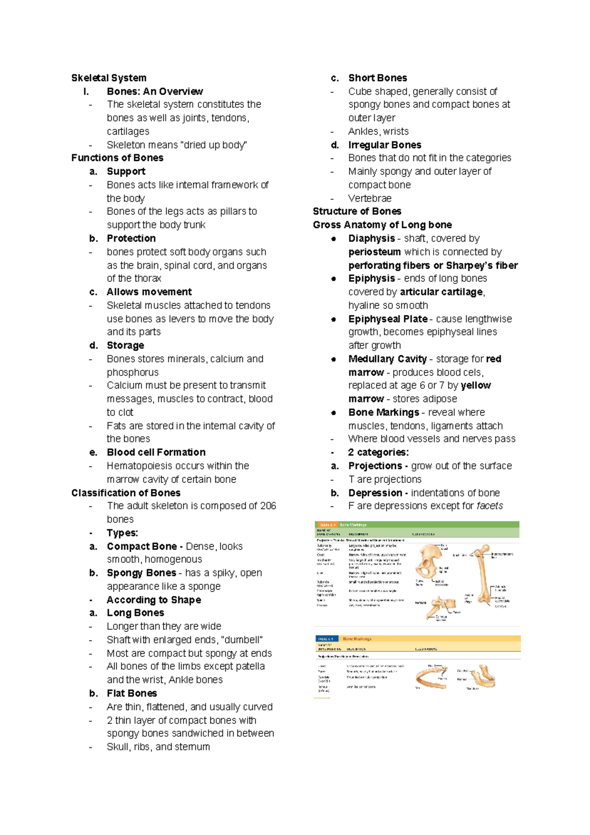 Reviewer Skeletal System - Skeletal System I. Bones: An Overview - The ...