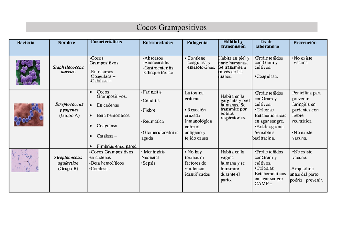 Bacterias de importancia medica Cocos Grampositivos