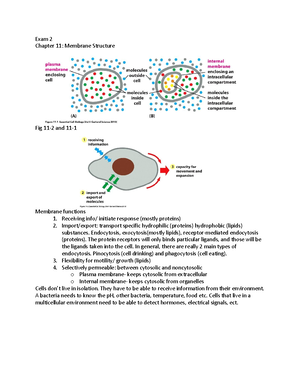 bio 230 exam 3 notes - EXAM 3 Chapter 16 - Cell Communication Fig 16-2 ...