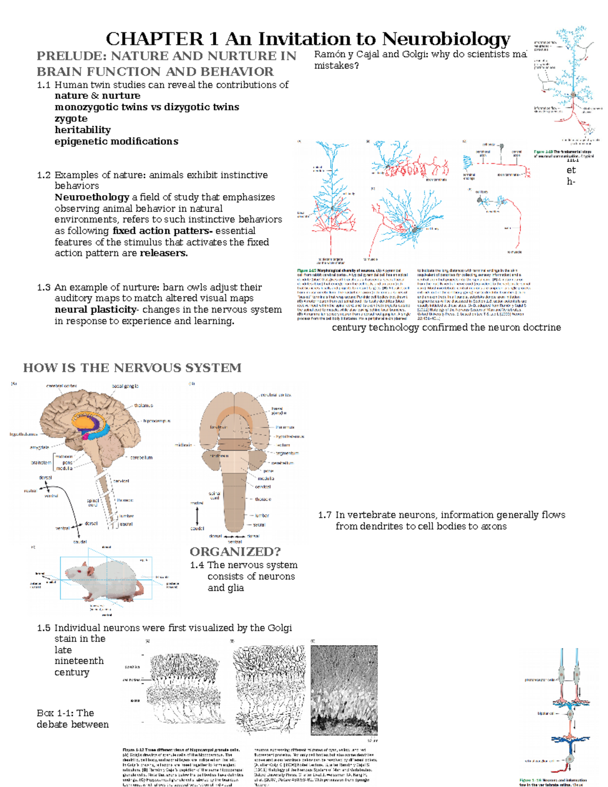 PSYC 3350- Notes Chapter 1 An Invitation To Neurobiology - CHAPTER 1 An ...