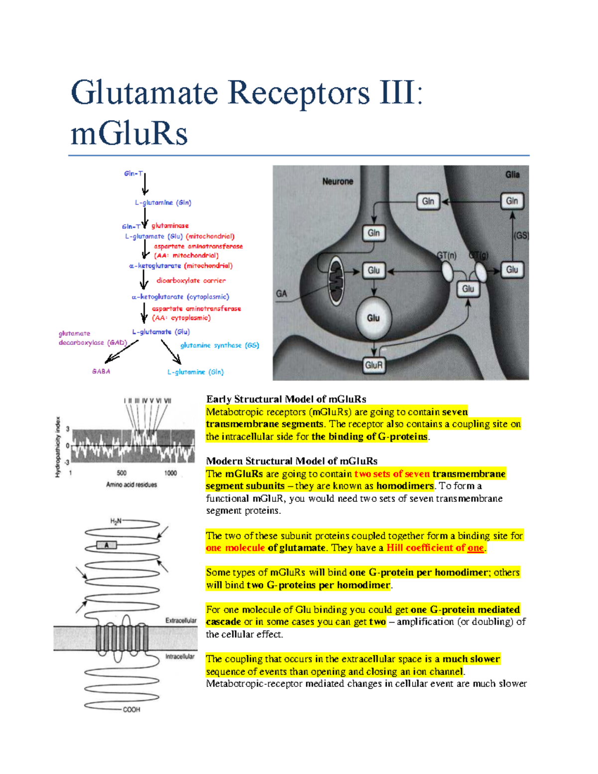 Glutamate Receptors III-m Glu Rs - Glutamate Receptors III: mGluRs ...