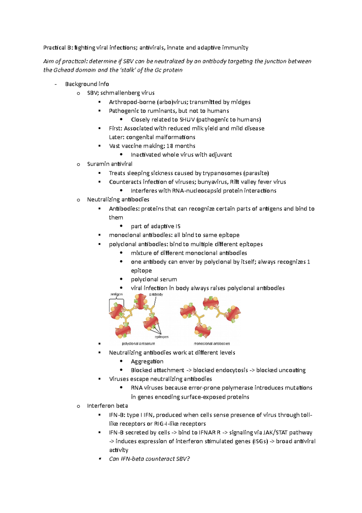 Practical B VIR - Practical B: Fighting Viral Infections; Antivirals ...