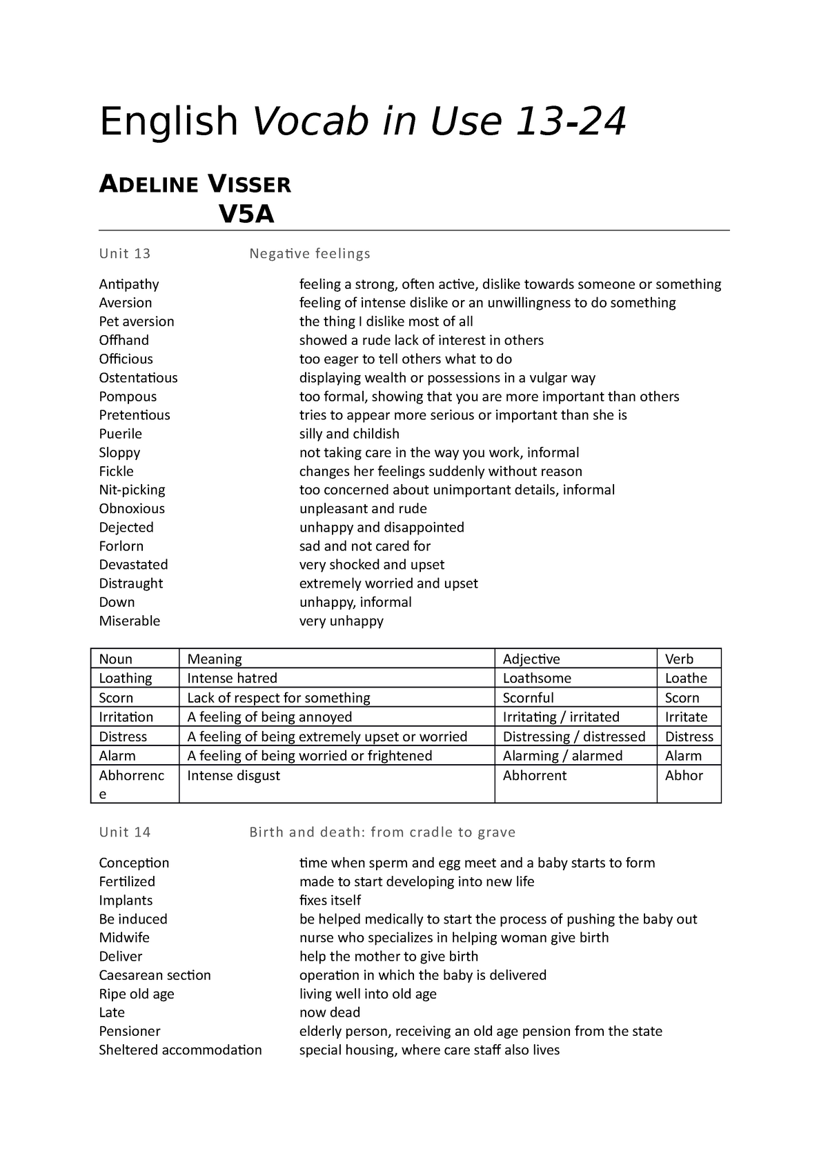 vocab-in-use-13-24-english-vocab-in-use-adeline-visser-v5a-unit-13