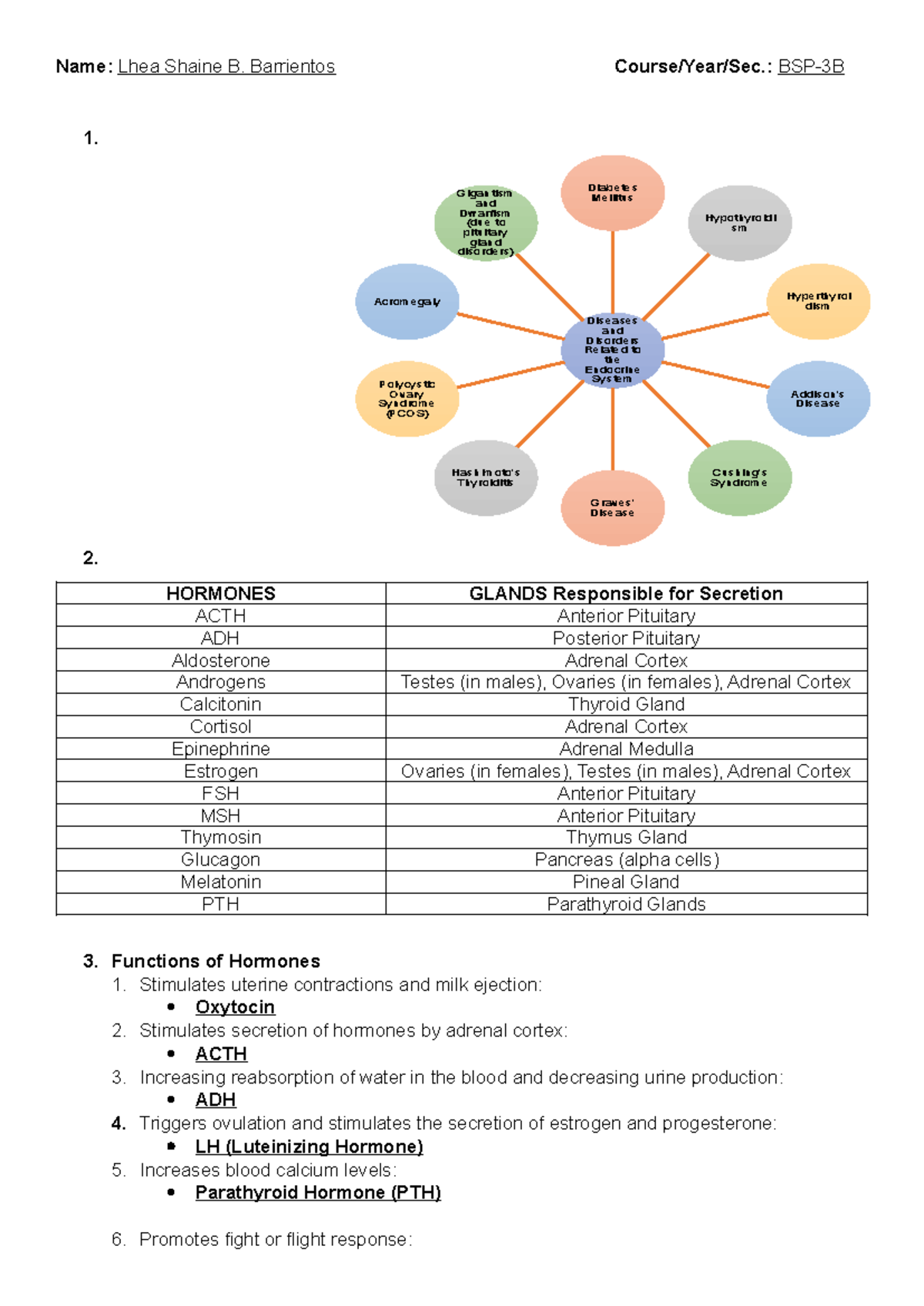 Endocrine System Lecture Notes Diseases And Disorders Related To