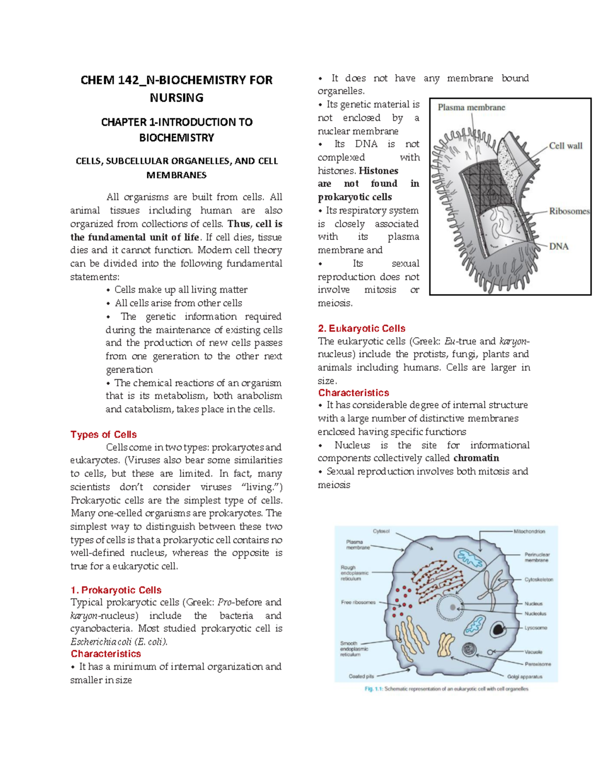 CHEM 142 N- Chapter 1- Cells - CHEM 142_N-BIOCHEMISTRY FOR NURSING ...