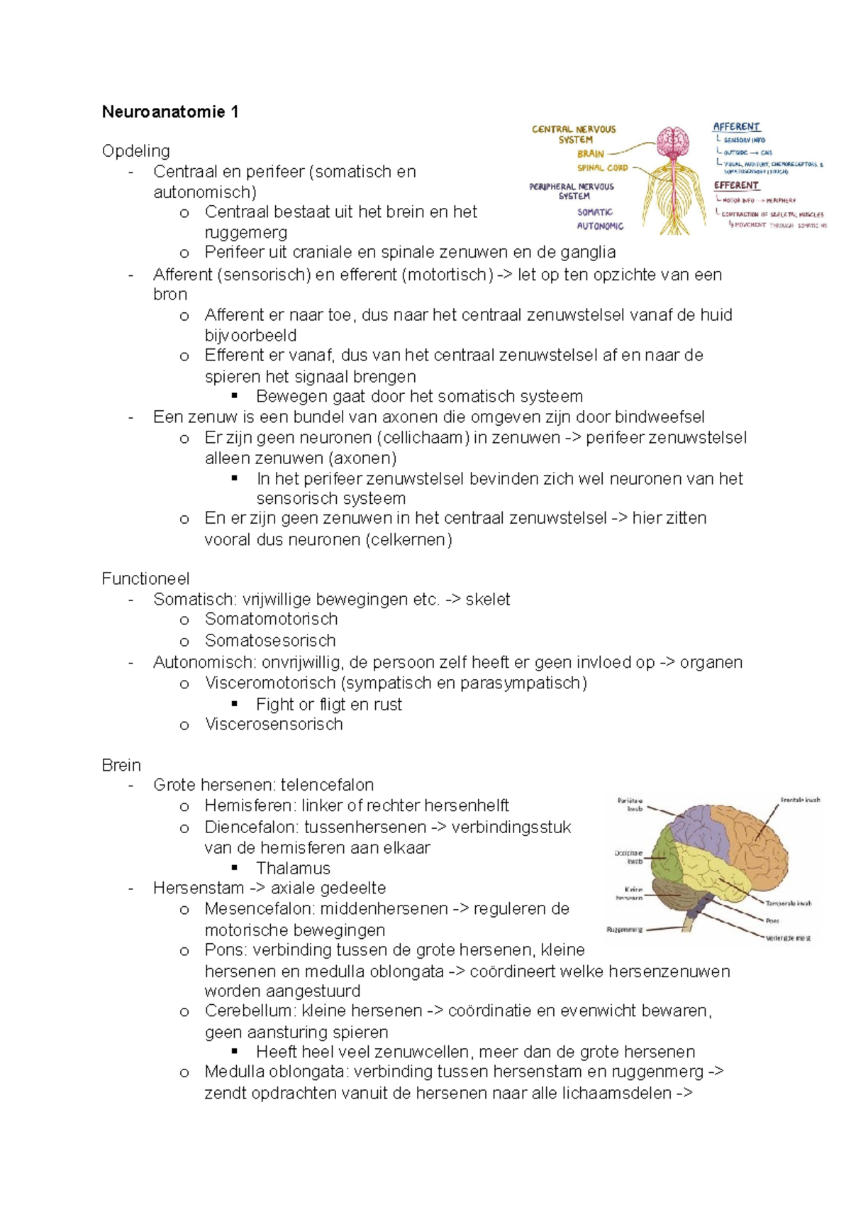 Samenvatting Zenuwstelsel - Neuroanatomie 1 Opdeling - Centraal En ...