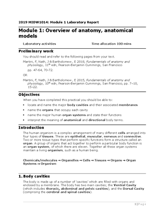 Skeleton WH adapted - Lab manual week 3 - MIDW1014: Laboratory report ...