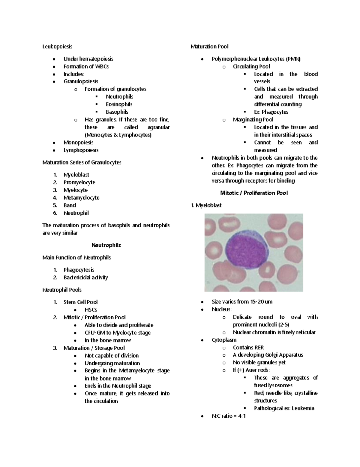 Leukopoiesis - Leukopoiesis Under hematopoiesis Formation of WBCs ...