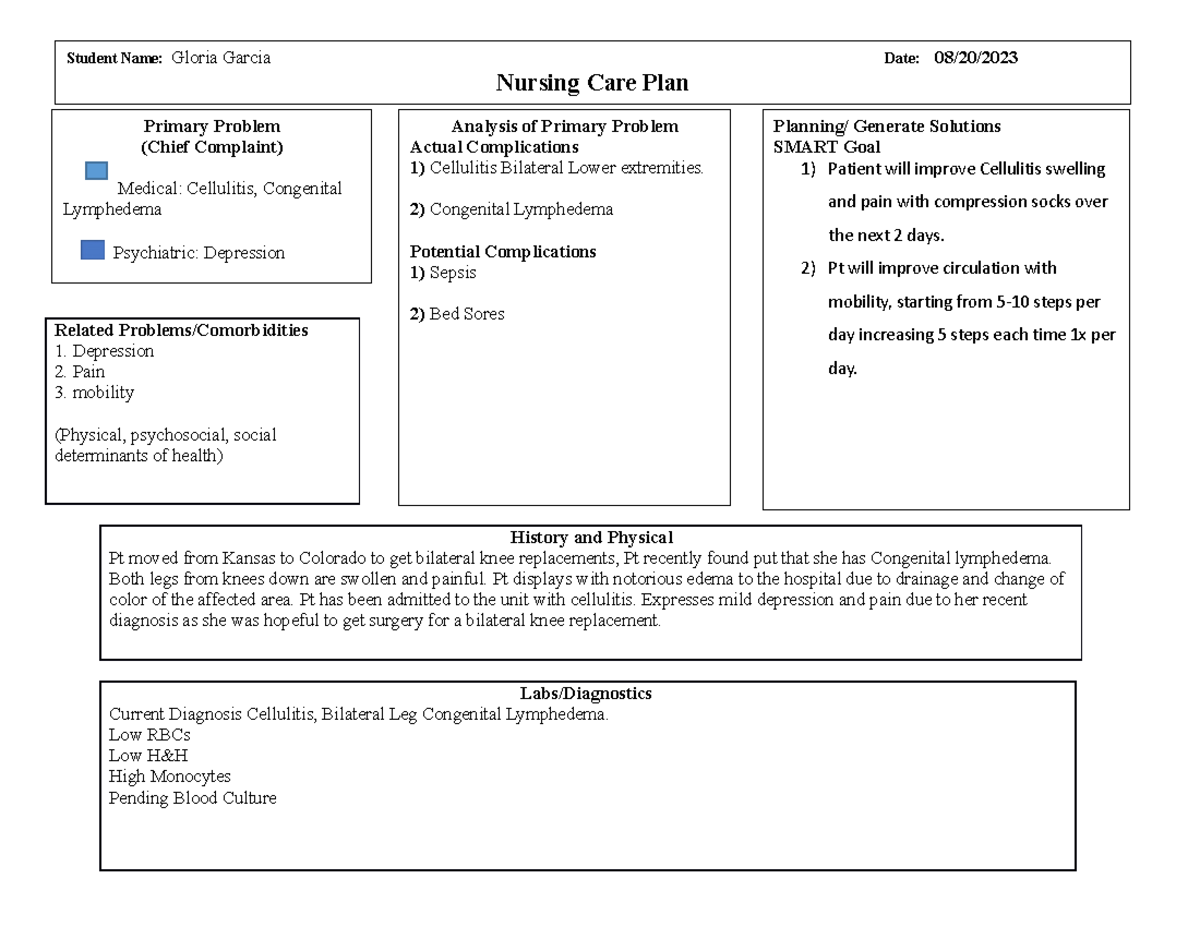 Nursing Care Plan Template - 1. Related Problems/Comorbidities 1 ...