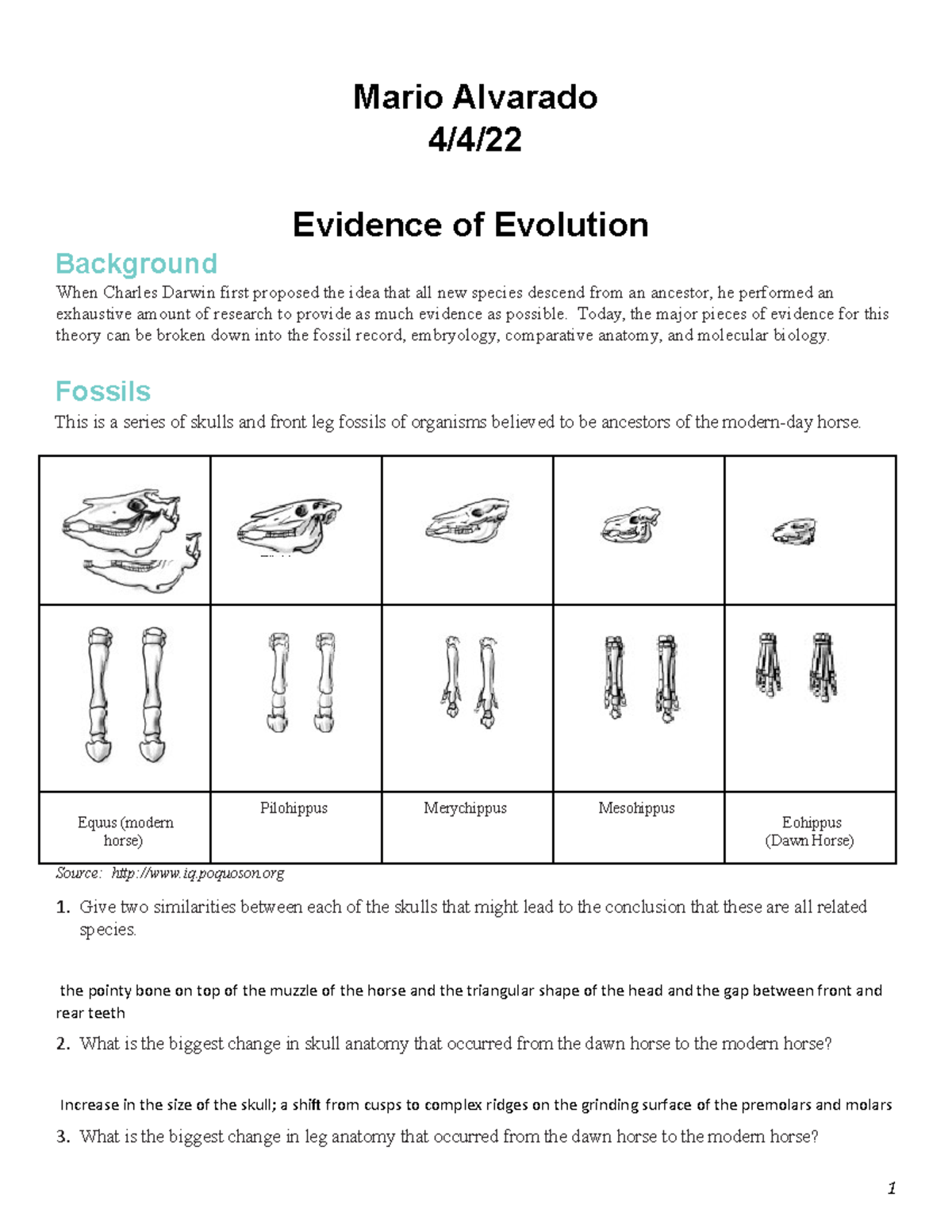 8-Evidence-of-Evolution-WorksheeT WHERE WE FIND THE EMBRYOES AND SOME OTHER  SHIT - Mario Alvarado - Studocu