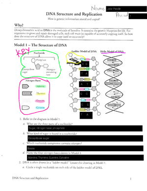 Biology Graphic Organizer {Jake P - Macromolecule Monomers (and ...