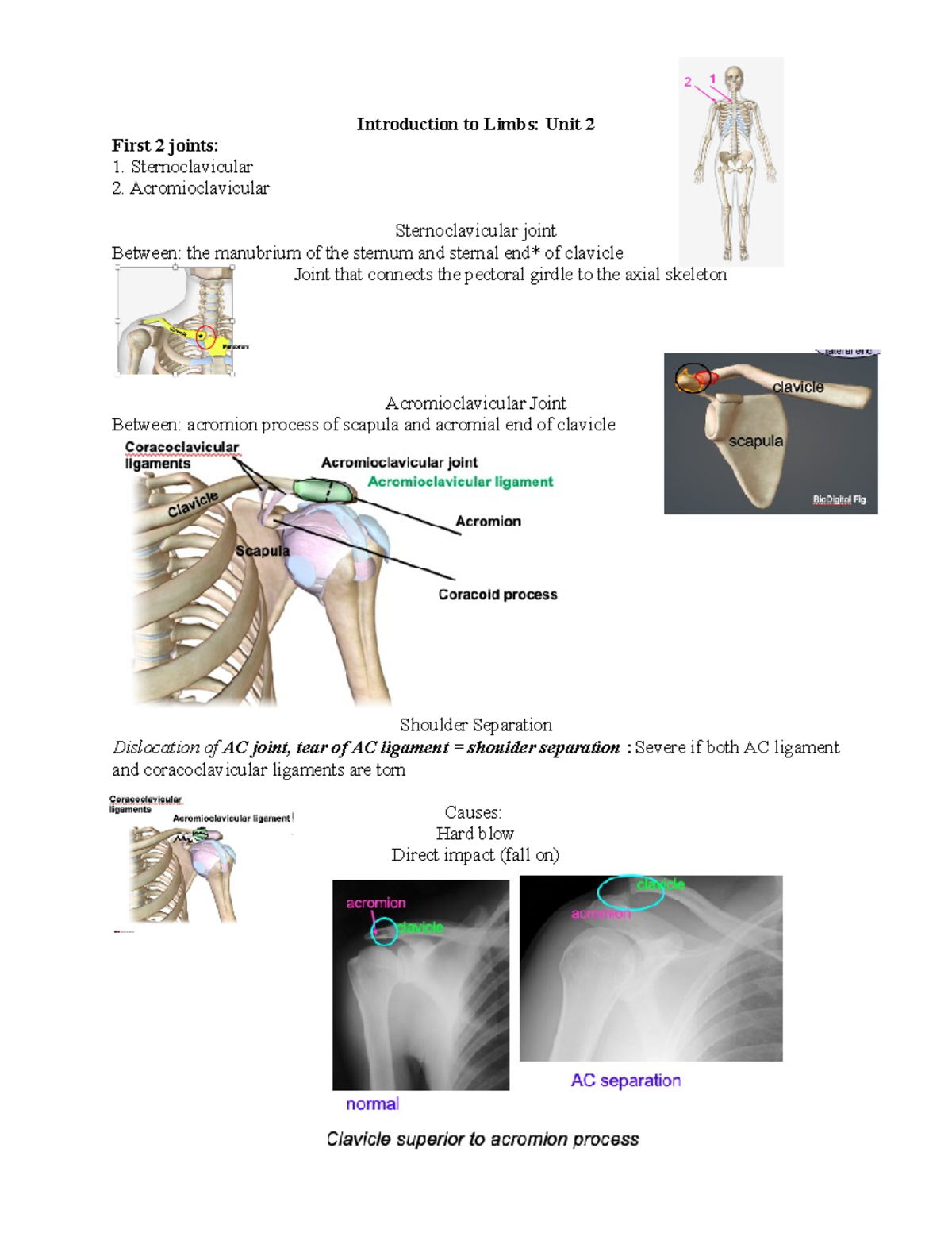 Introduction to Limbs - Scapulothoracic 4 Scapulothoracic joint ...