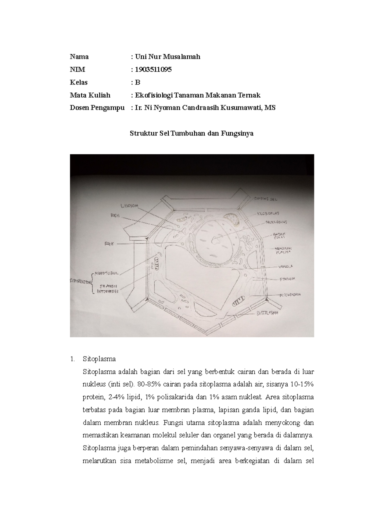 B 1903511095 Uni Nur Musalamah Tugas Ekofisiologi - Nama : Uni Nur ...