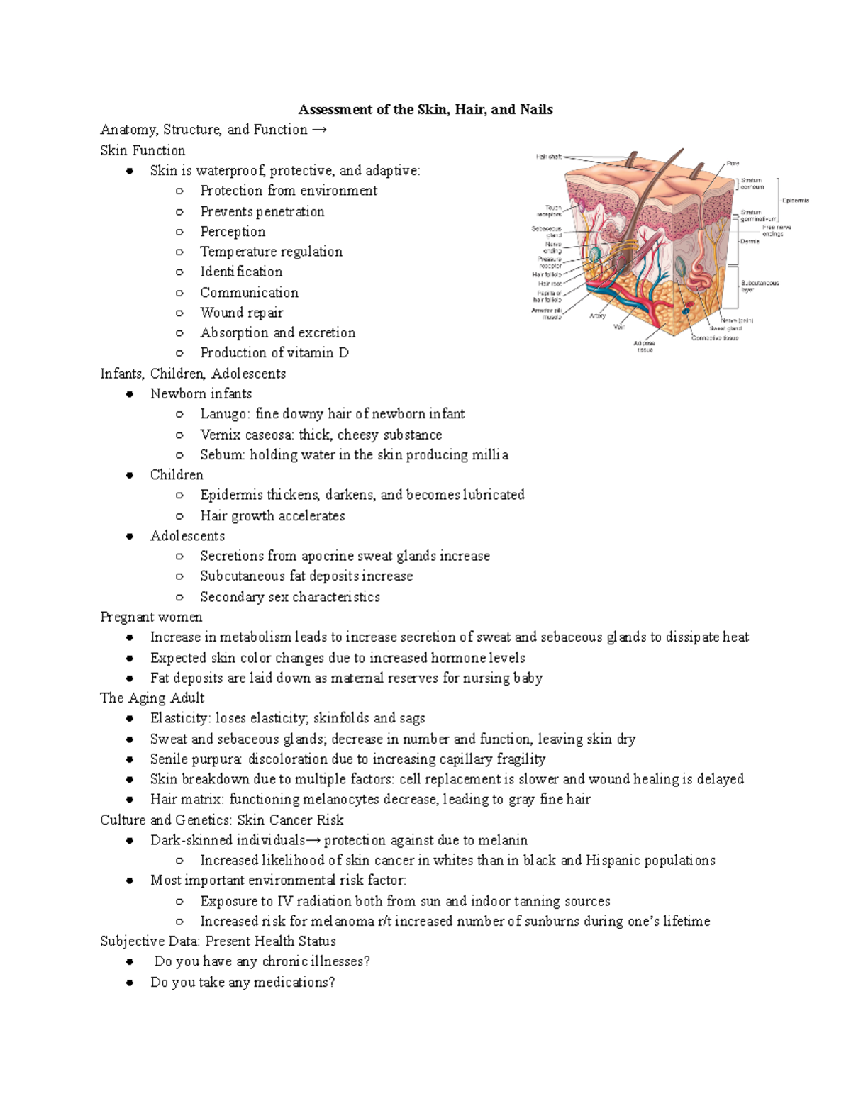 Final 314 Exam 4 Study Guide - Google Docs - Assessment Of The Skin ...