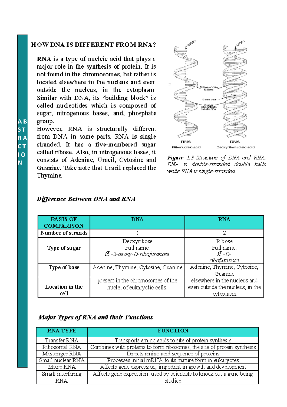 HOW DNA IS Different FROM RNA - HOW DNA IS DIFFERENT FROM RNA? RNA is a ...