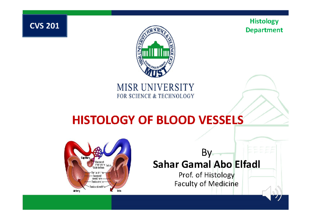 Histology 5 Histology Department HISTOLOGY OF BLOOD VESSELS By Sahar