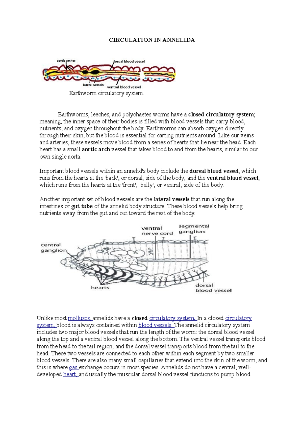 Circulation In Annelida - CIRCULATION IN ANNELIDA Earthworm Circulatory ...