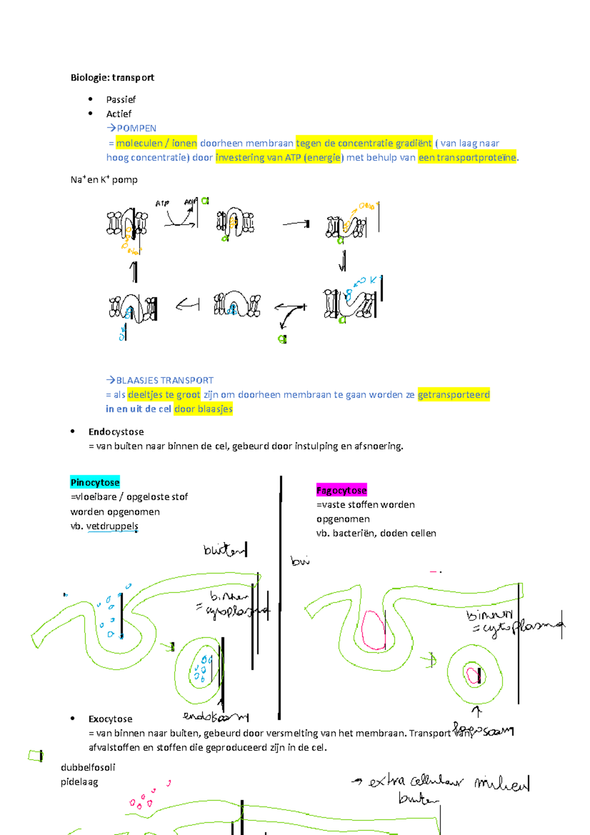 Actief transport Biologie transport Passief Actief POMPEN