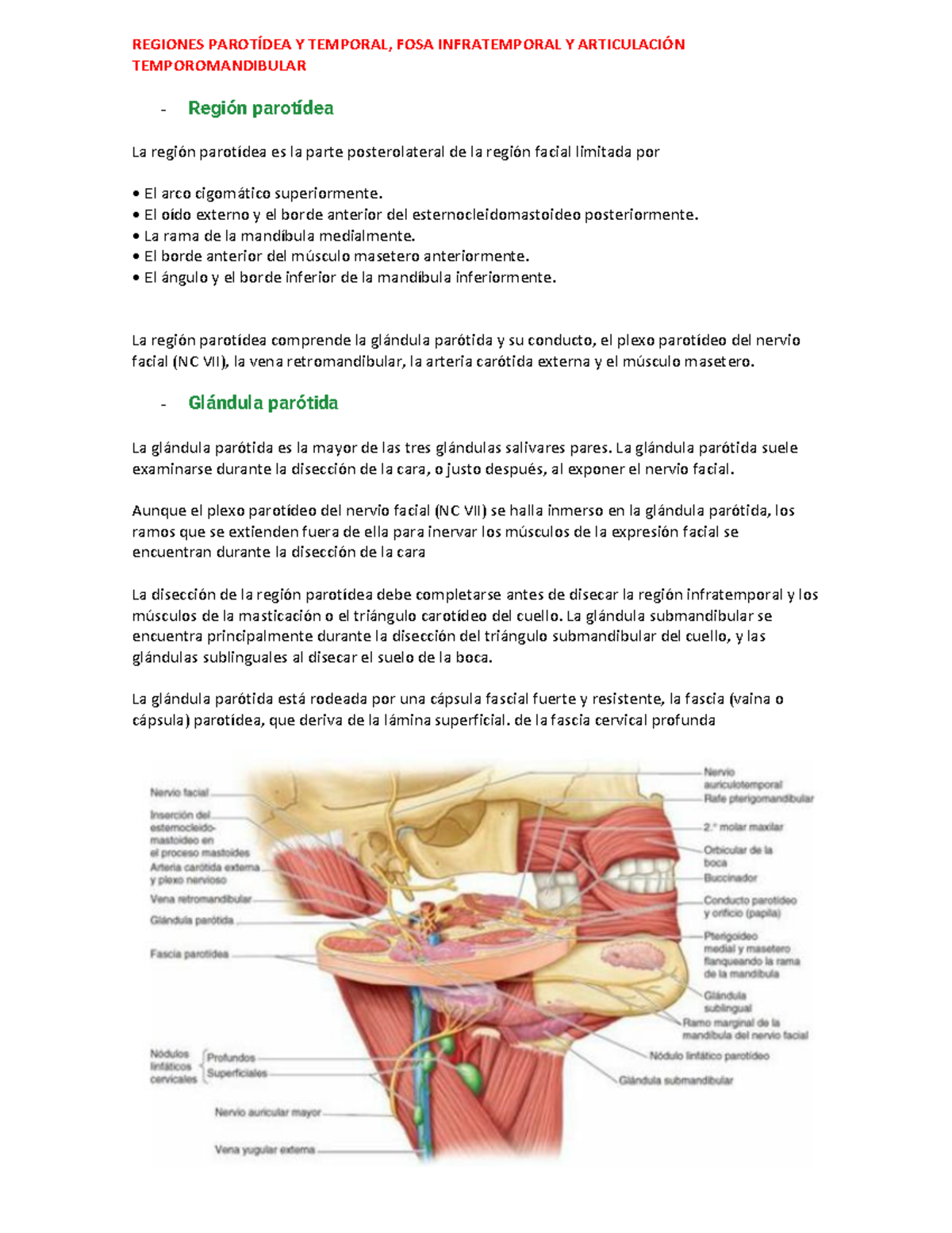 región parotídea