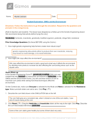 simnet in practice excel 365 application capstone project 2