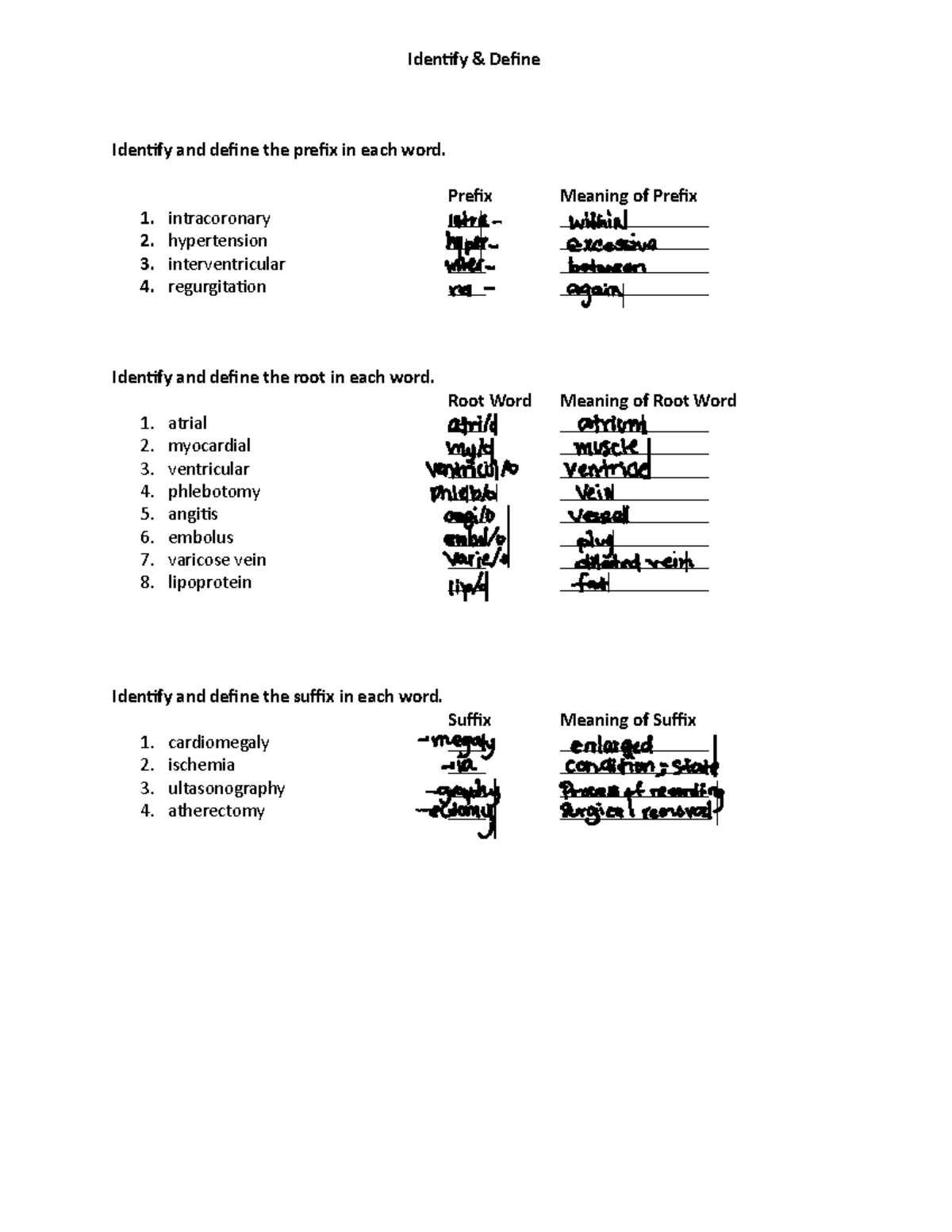 terminology-worksheet-module-5-identify-define-identify-and-define