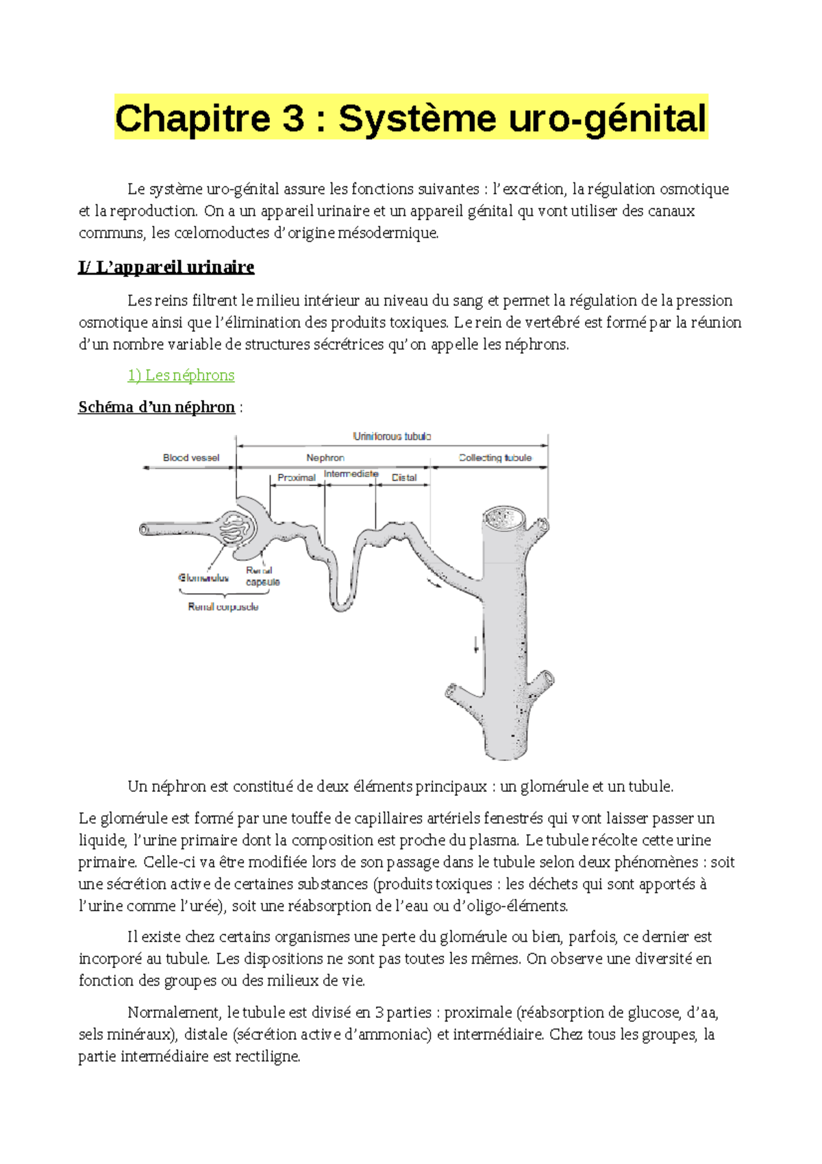 chap-3-appareil-urogenital-chapitre-3-syst-me-uro-g-nital-le
