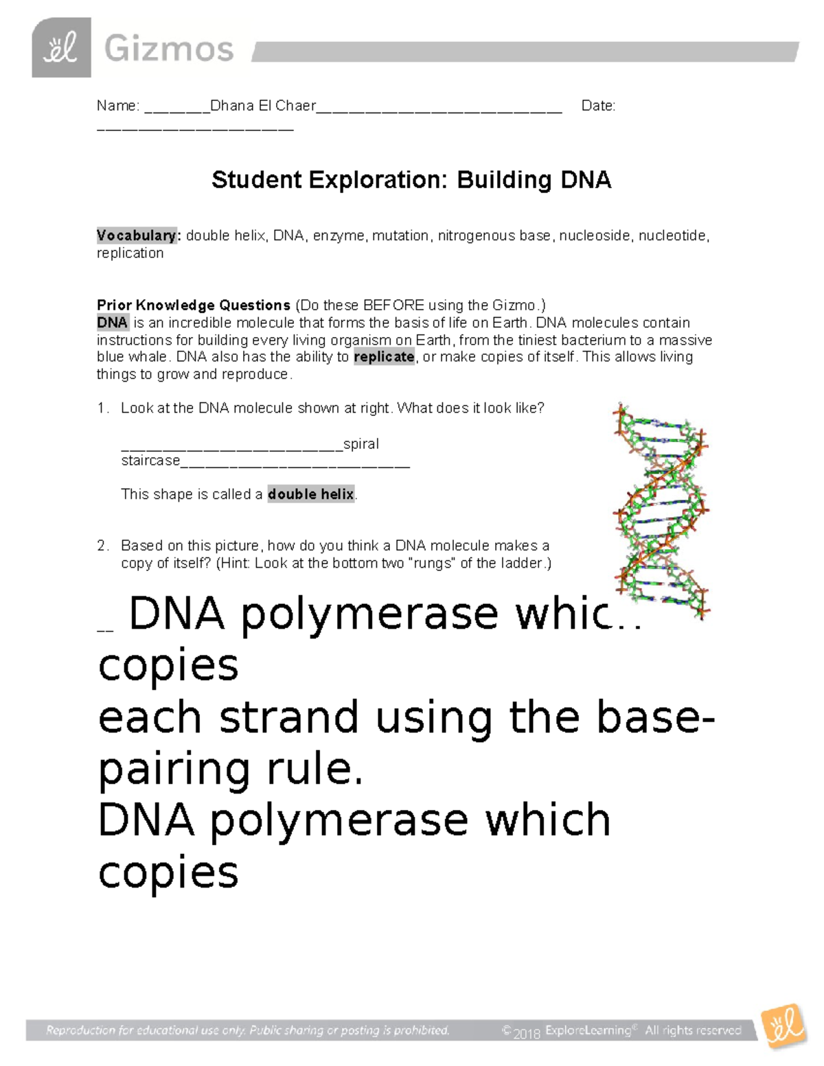 Building dna bio 2 - biology - Name: Dhana El Chaer ...