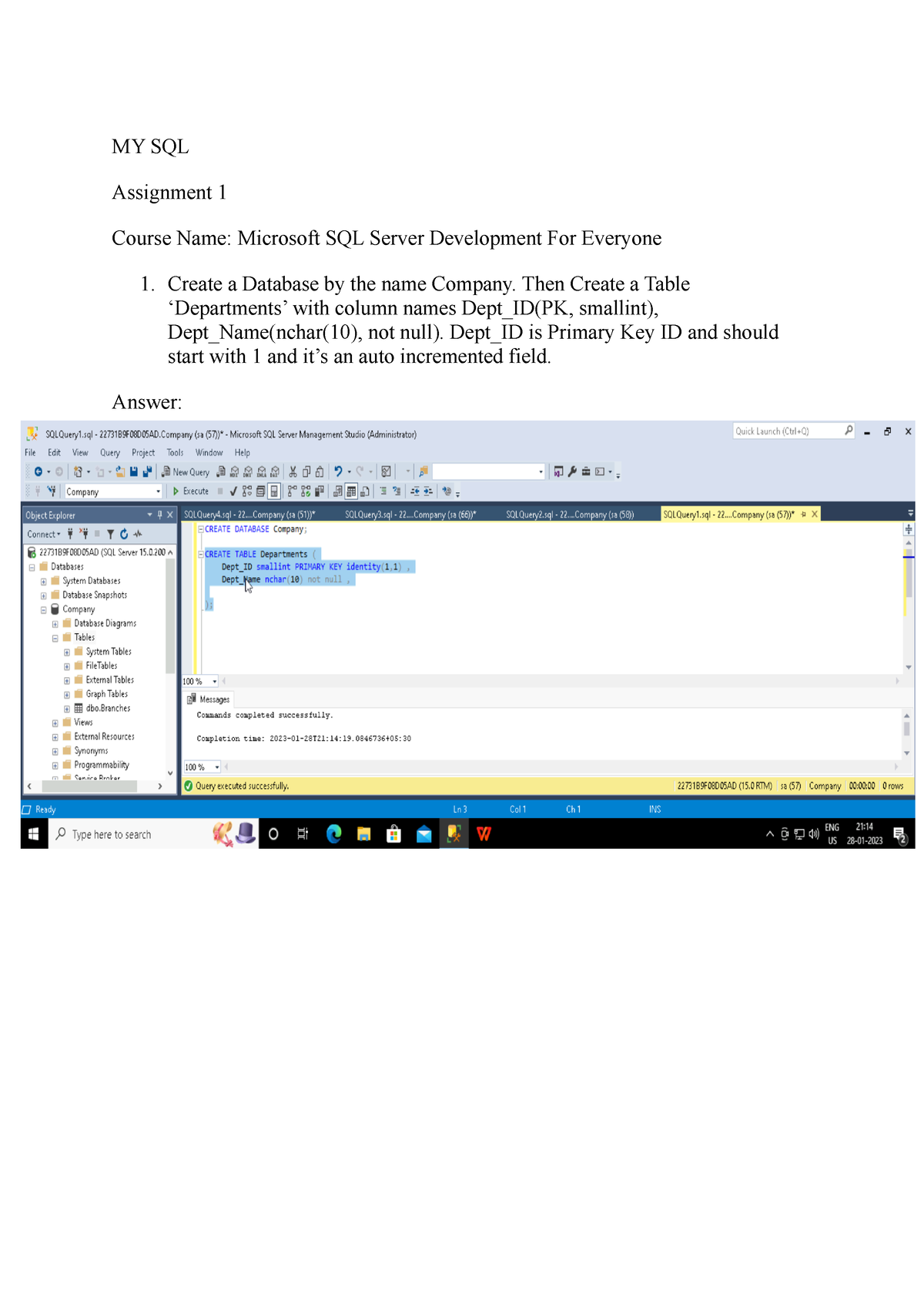 sql server assignments