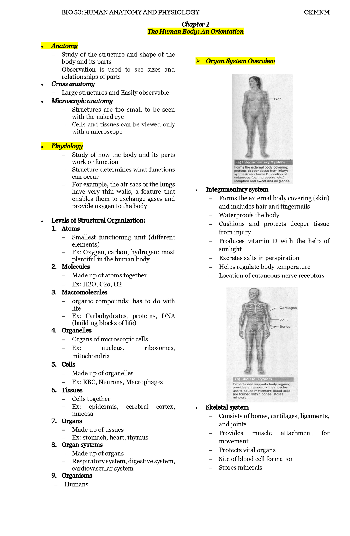 Reviewer Chapter 1 Human Body, An Orientation ( Ckmnm) - BIO 50: HUMAN ...