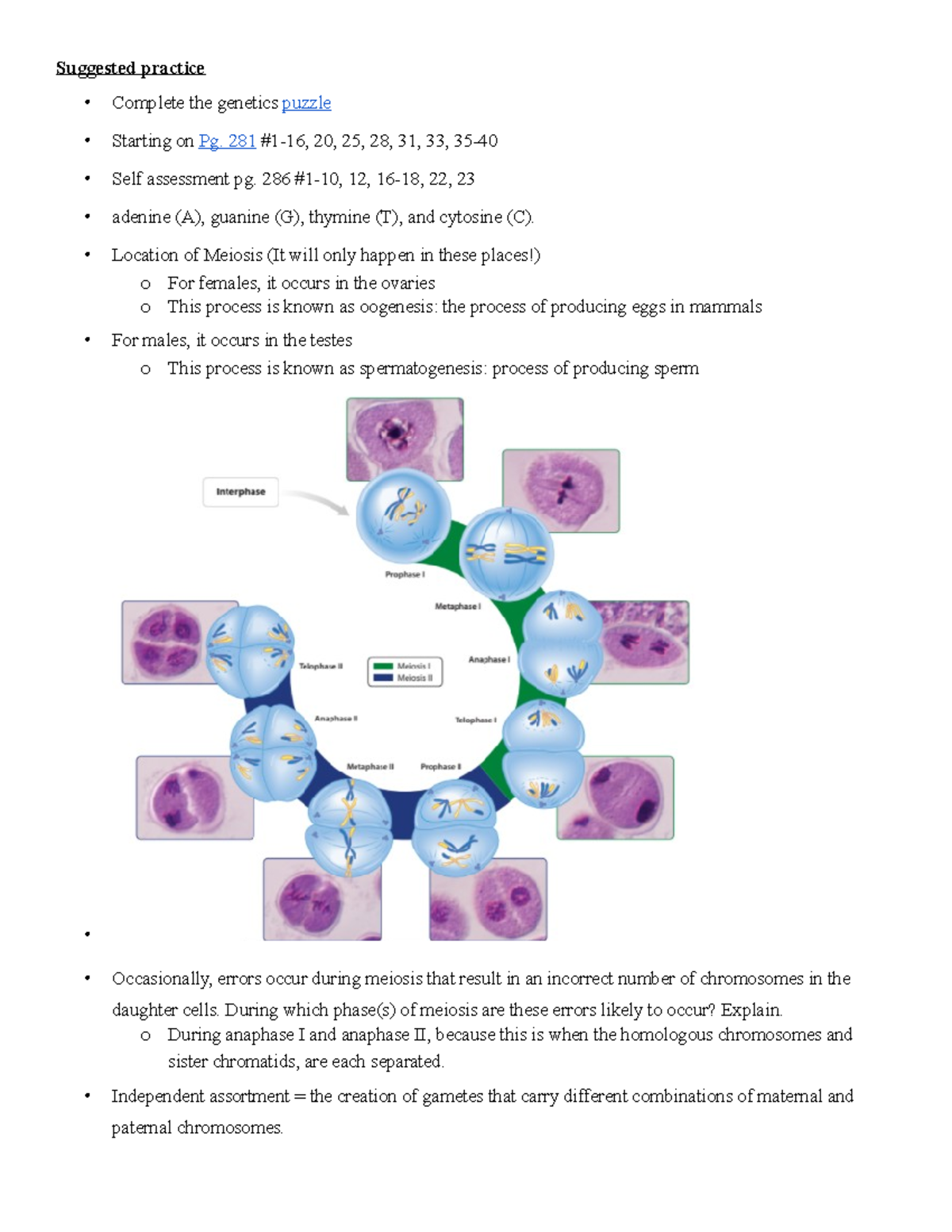 jeff is conducting a literature review on the research on genetics