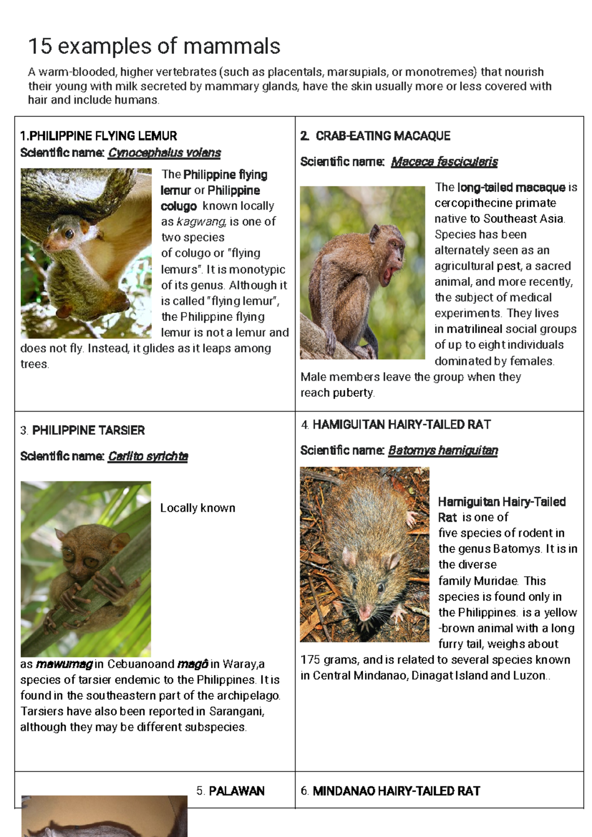 Mammals - 1 5examplesofmammals - Studocu