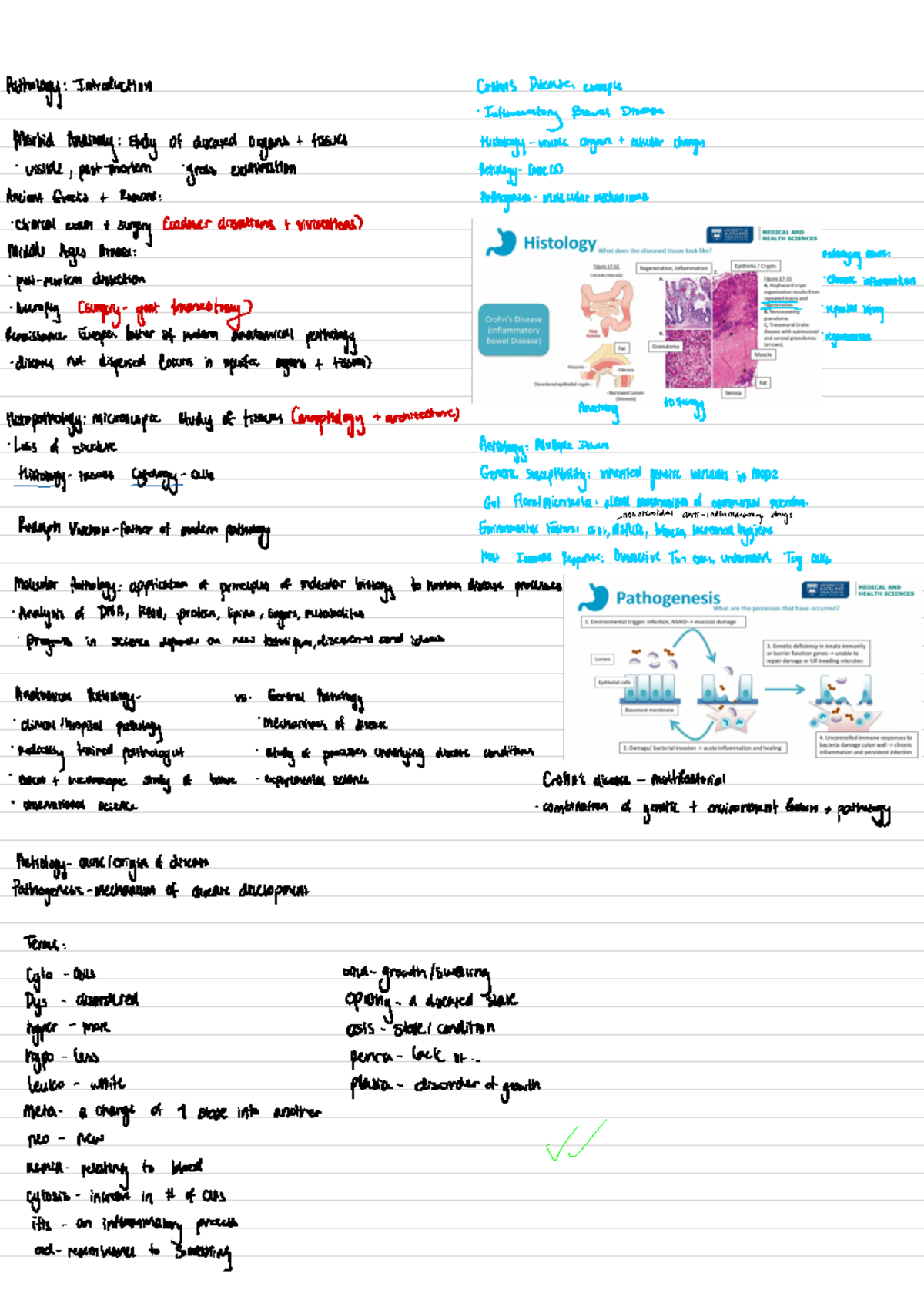 203 - Notes - Pathology : Introduction Crown's Disease : example ...