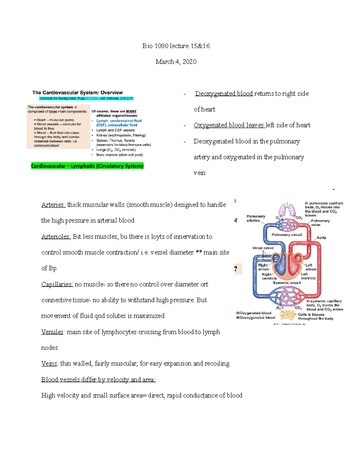 Bio 1080 lecture 15 - Bio 1080 lecture 15& March 4, 2020 Deoxygenated ...