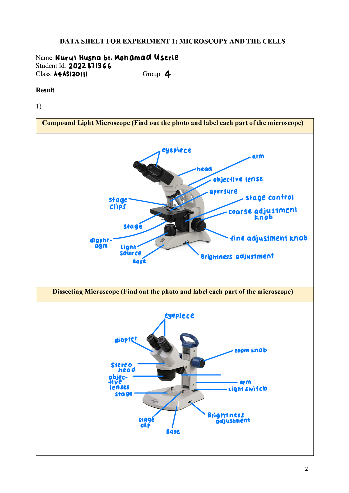 DATA SHEET LAB BIO122 (MICROSCOPY) - DATA SHEET FOR EXPERIMENT 1 ...