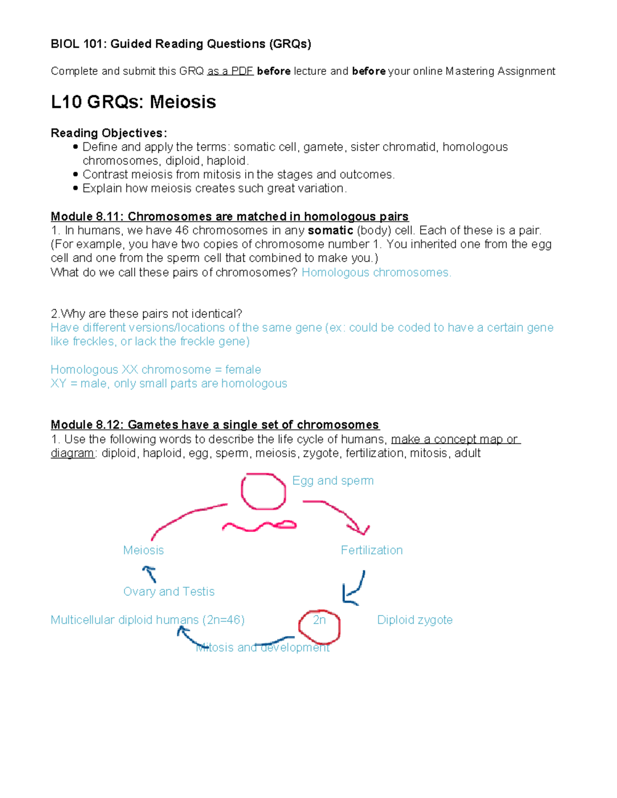 Lesson 10 GRQs Meiosis - Complete and submit this GRQ as a PDF before ...