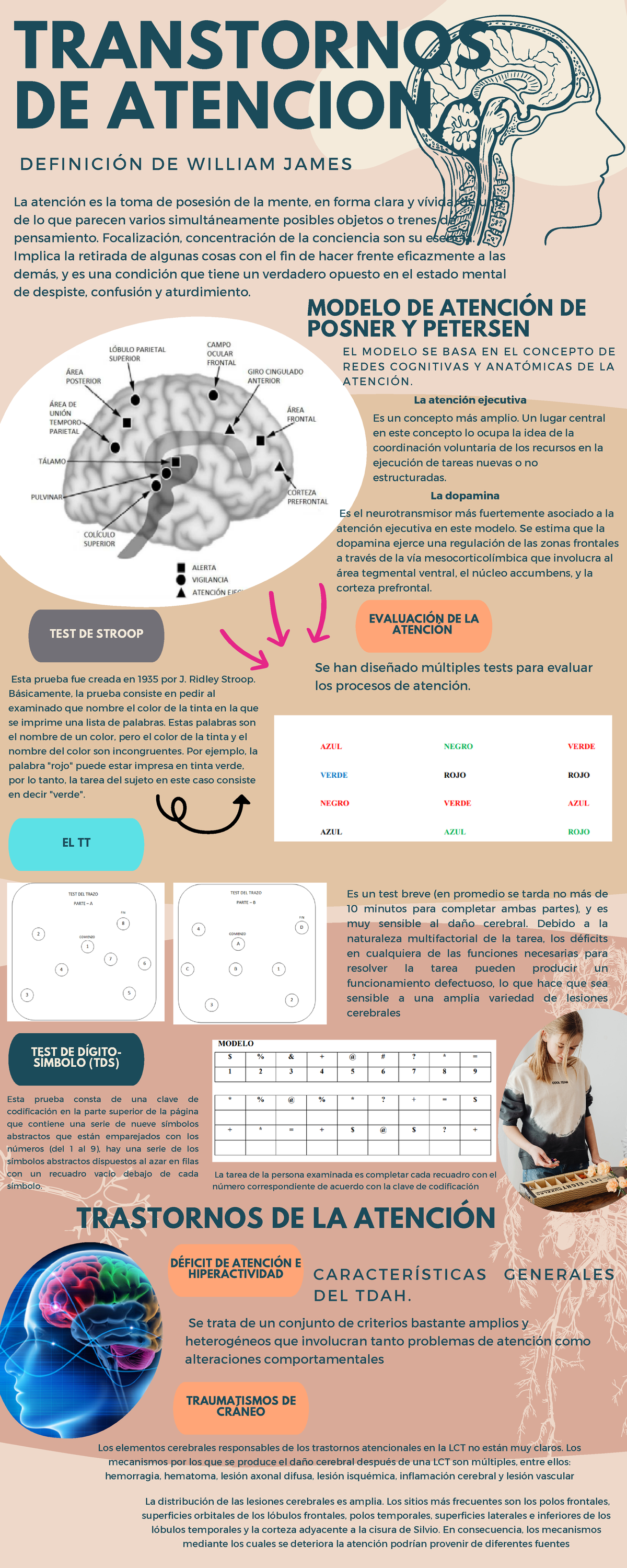 Infografía Consejos De Salud Mental Ilustrado 2 EvaluaciÓn De La Test De Stroop AtenciÓn El 5661