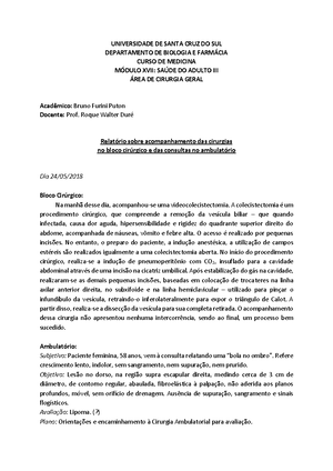 Nutri O Em Cirurgia Cirurgia Geral Morgana Trojahn Em Cirurgia Uma Causal Entre Ingesta De