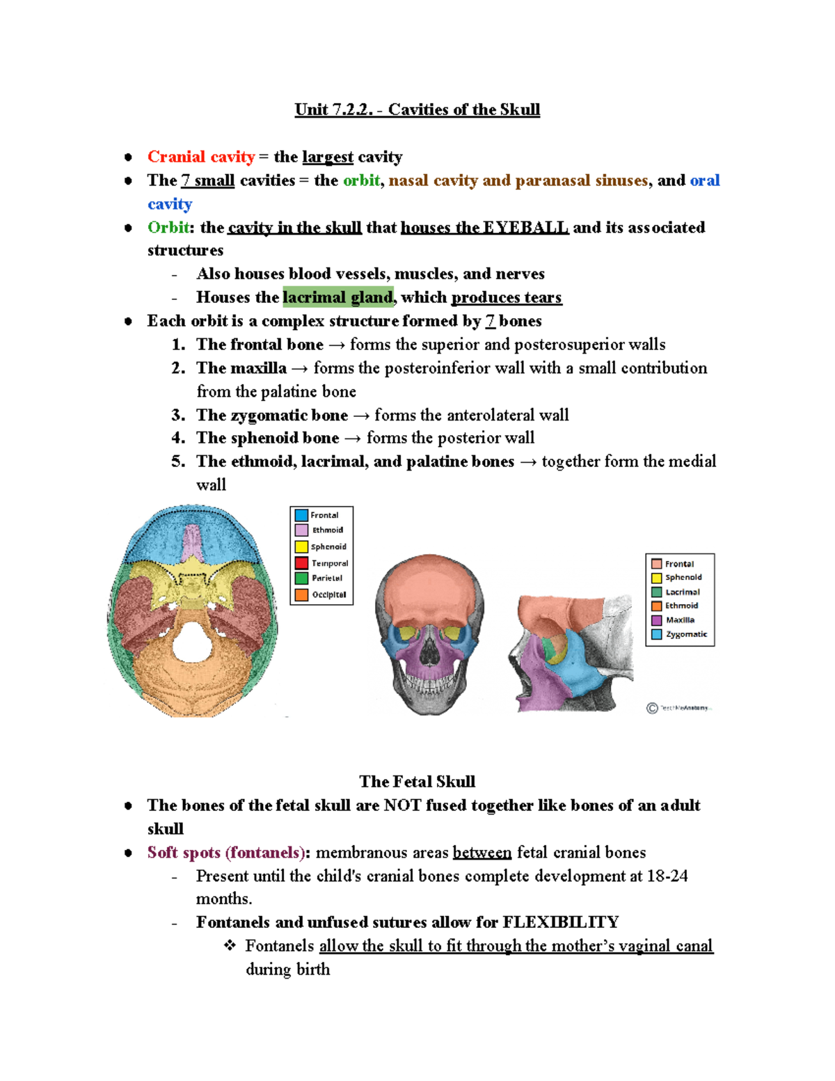 BIO 168 Cavities of the Skull - Unit 7.2. Cavities of the Skull Cranial ...