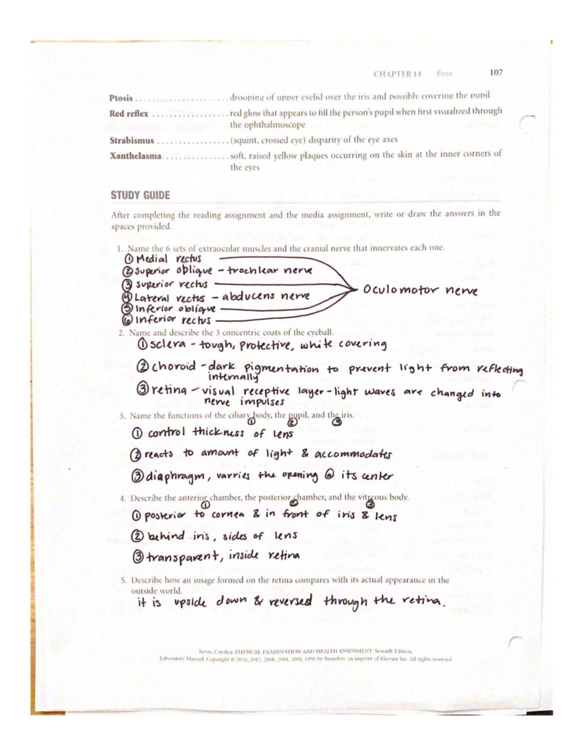 Chapter 15 Lab book study guide questions NR324 Studocu