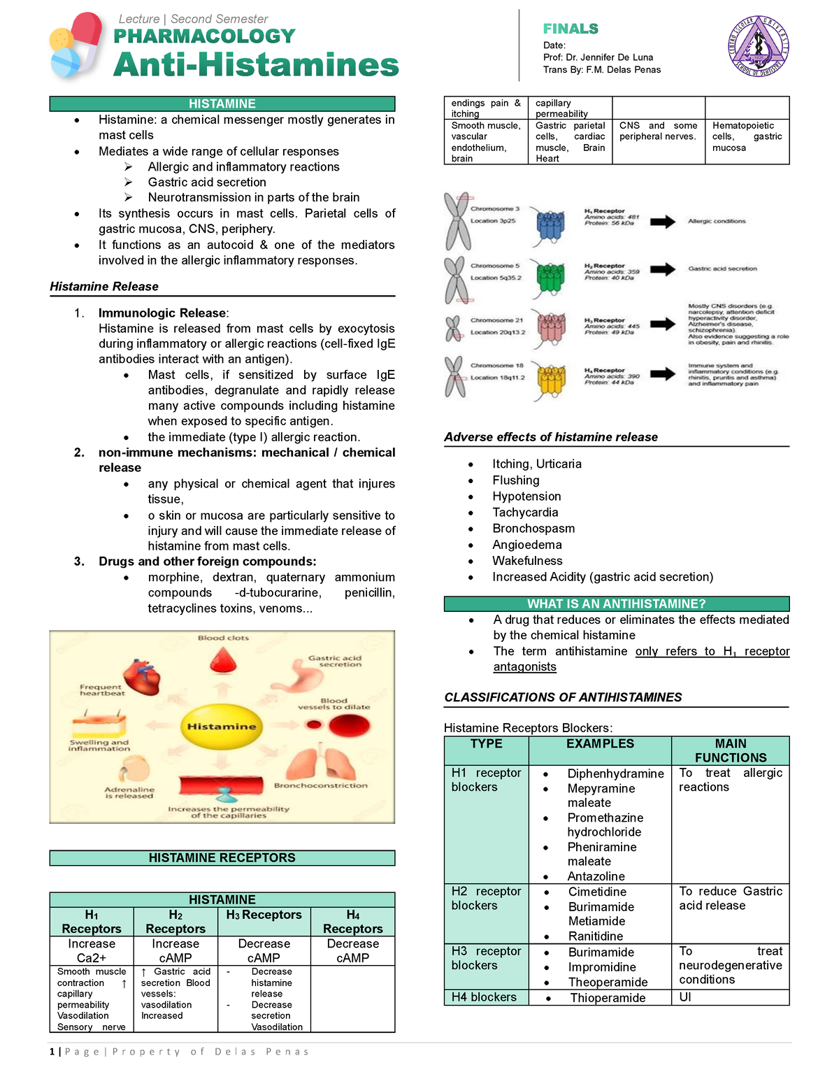 Antihistamines - Mmmmm - Dentistry - Studocu