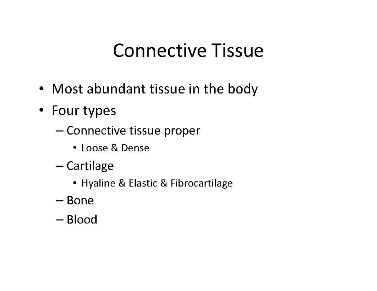 Ch 04 ppt2 - Connective Tissue • Most abundant tissue in the body ...