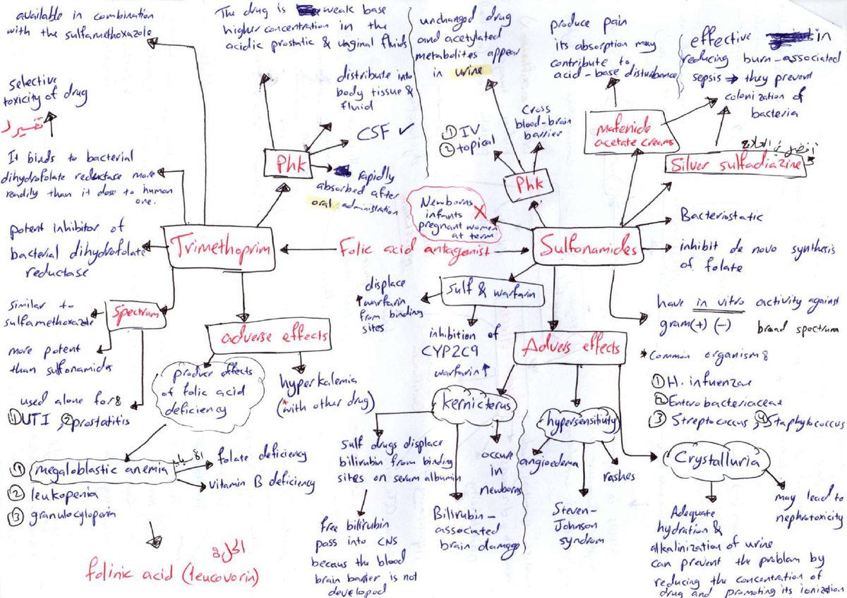 Folic acid antagonist - general medicine - Studocu