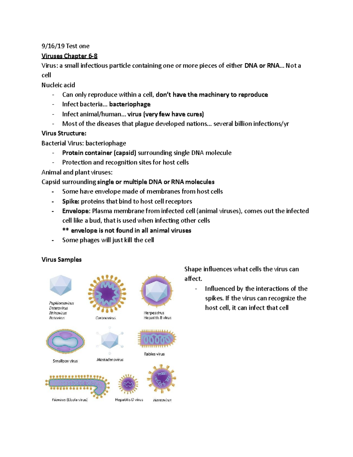 MMG002 Lecture 6 - 9/16/19 Test One Viruses Chapter 6- Virus: A Small ...