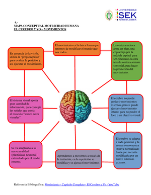 Mapa Conceptual de Motricidad Humana, El Cerebro - Referencia  Bibliográfica: Movimiento - Capítulo - Studocu