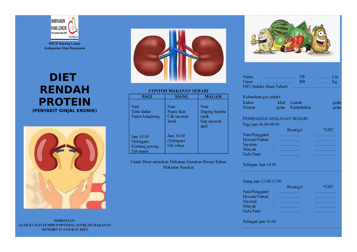 DIET Rendah Protein selalu indah RSUD Bayung Lencir Kabupaten Musi