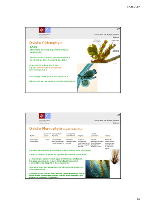Inflorescencia v2 - Exercícios Botânica - Botânica Licenciatura em ...