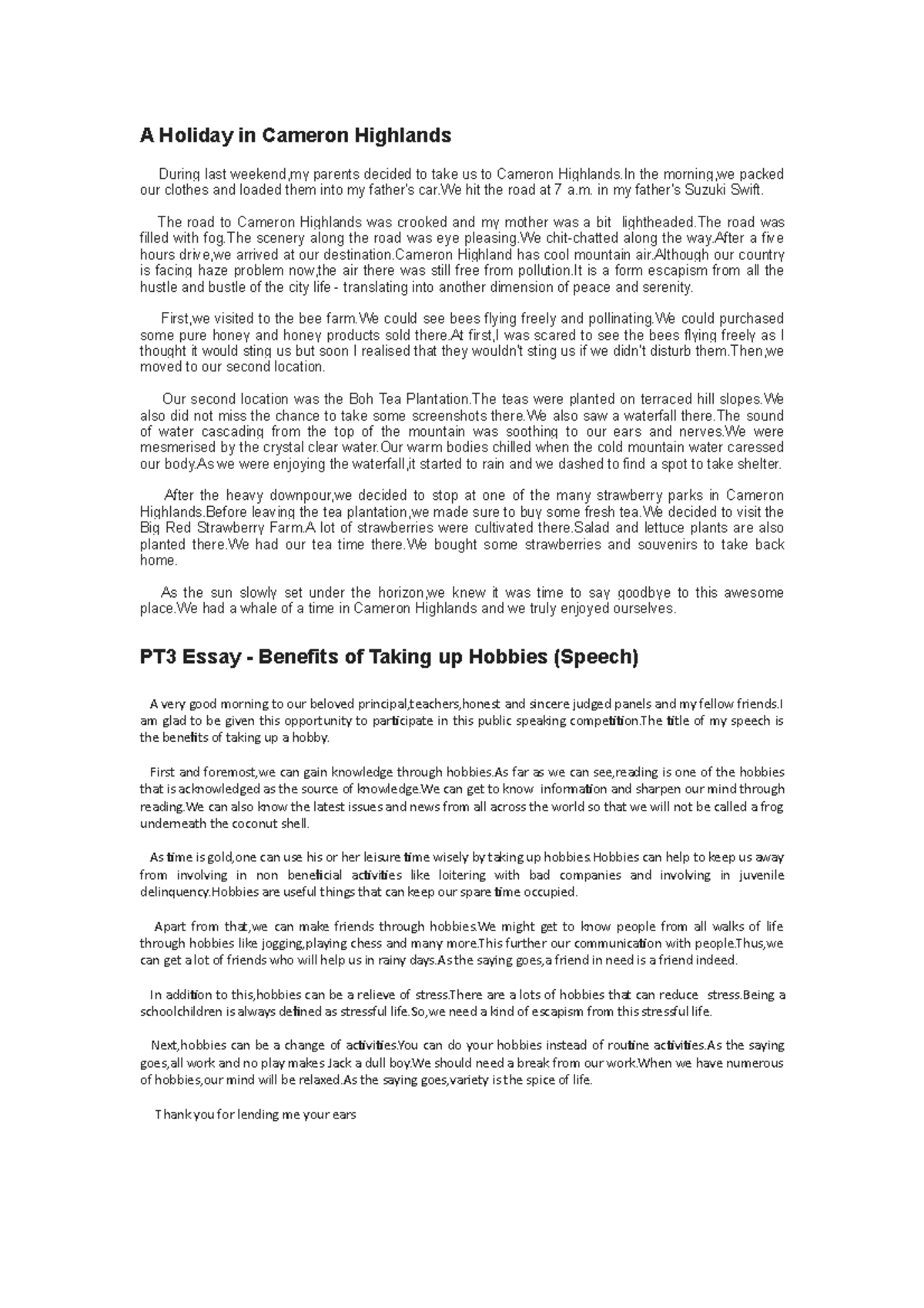 English Essays 1 Example Essay A Holiday In Cameron Highlands