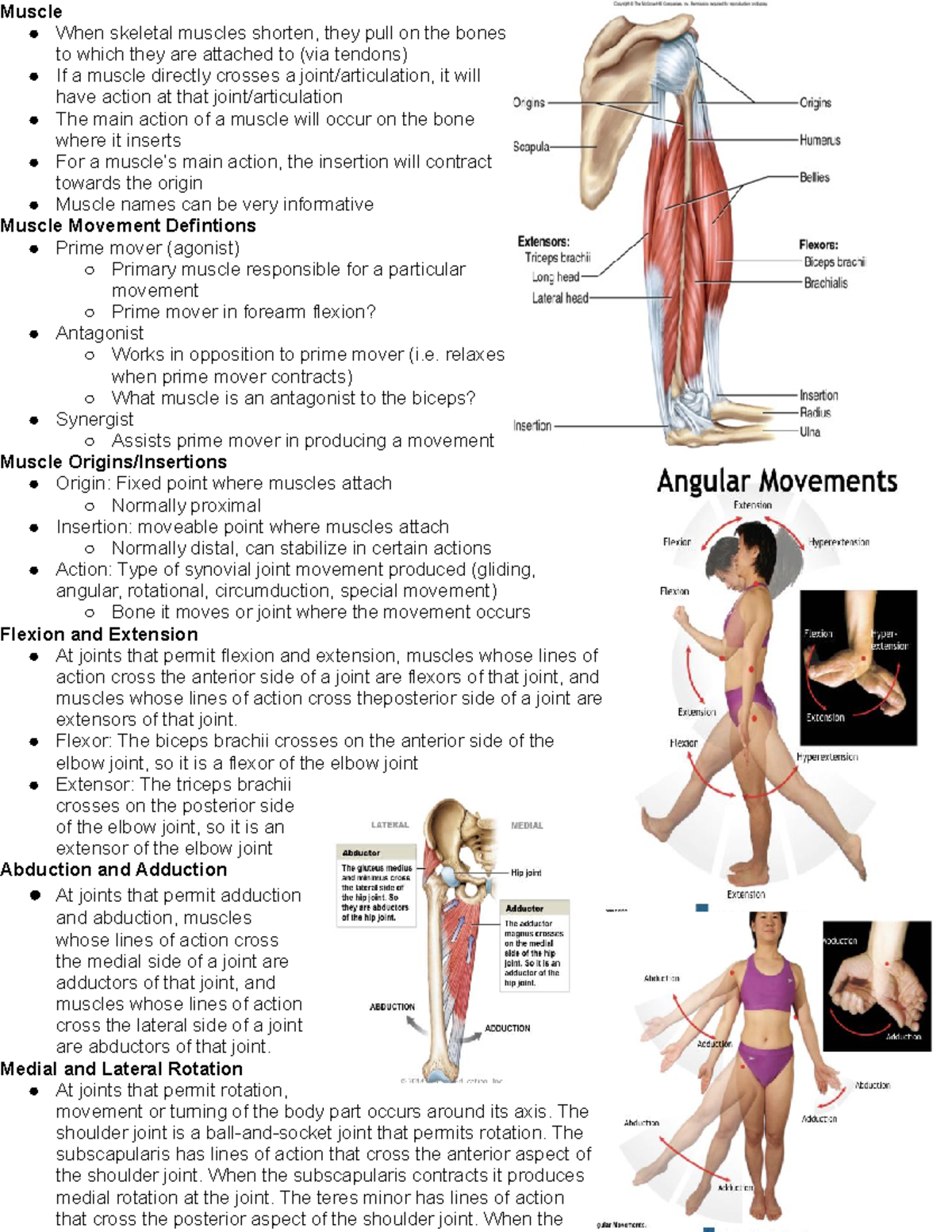 Healthy Street - 🔈 FUNCTION OF BICEPS, TRICEPS AND QUADRICEPS ➡️ BICEPS ▪️ Biceps Short Head and Long Head Function: Flexion of the elbow joint,  supination, abduction and internal rotation of the humerus.